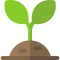 Sprout